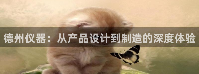 德国意昂3集团：德州仪器：从产品设计到制造的深度体验