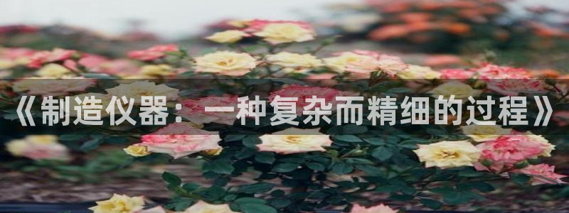 意昂3娱乐首页官网下载：《制造仪器：一种复杂而精细的过程》