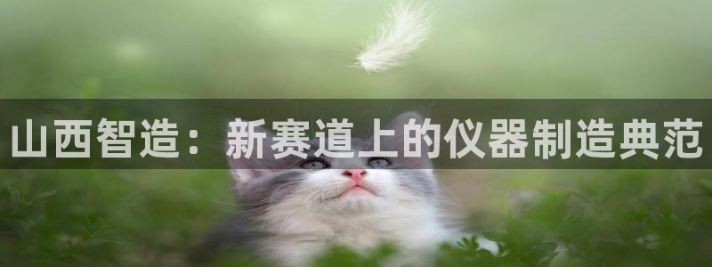 意昂体育3平台注册流程视频：山西智造：新赛道上的仪器制造典范