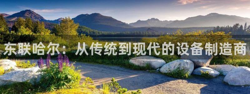 意昂3集团官网首页：东联哈尔：从传统到现代的设备制造商