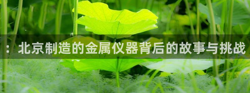 意昂体育3开户