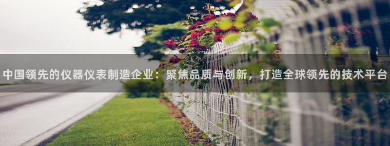 意昂体育3招商电话号码是多少：中国领先的仪器仪表制造企业：聚