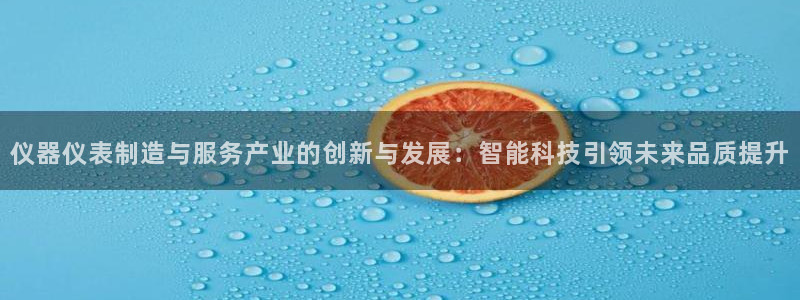 意昂体育3招商电话是多少：仪器仪表制造与服务产业的创新与发展