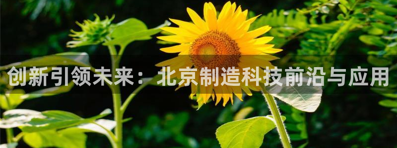 意昂体育3招商：创新引领未来：北京制造科技前沿与应用