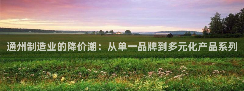 意昂体育3开户：通州制造业的降价潮：从单一品牌到多元化产品系
