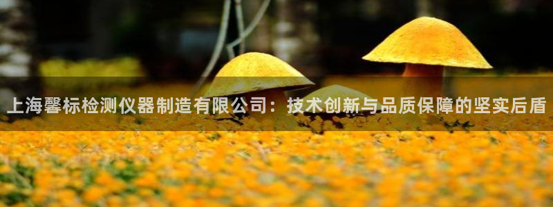 意昂体育3招商电话号码是多少：上海馨标检测仪器制造有限公司：