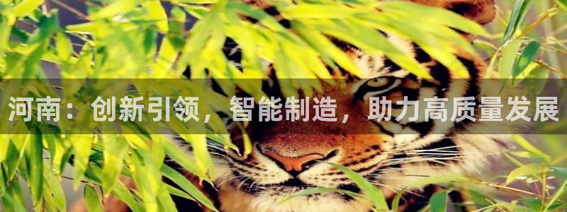 意昂体育3招商电话地址是多少：河南：创新引领，智能制造，助力