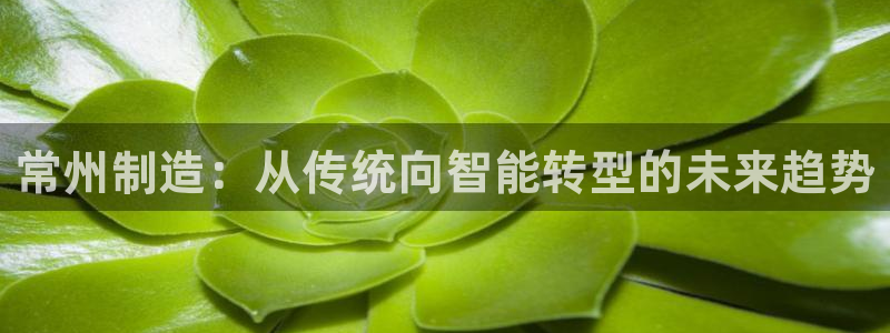 意昂集团官网：常州制造：从传统向智能转型的未来趋势