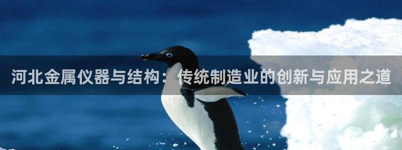 海南意昂体育3发展怎么样：河北金属仪器与结构：传统制造业的创