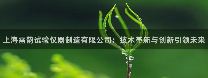 意昂3官方：上海雷韵试验仪器制造有限公司：技术革新与创新引领