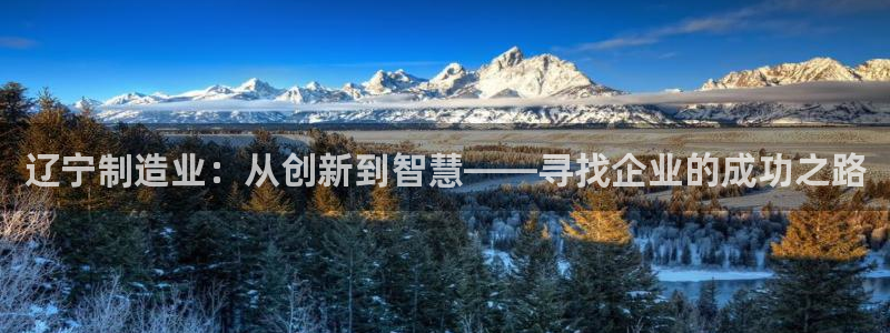 意昂3娱乐网站：辽宁制造业：从创新到智慧——寻找企业的成功之