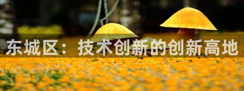 意昂体育3平台注册要钱吗安全吗：东城区：技术创新的创新高地