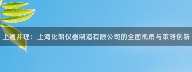 意昂3娱乐首页网站大全：上通并理：上海比朗仪器制造有限公司的