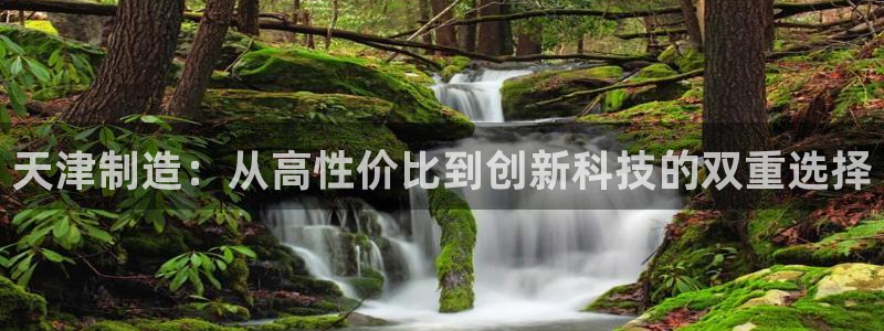 意昂体育3软件：天津制造：从高性价比到创新科技的双重选择