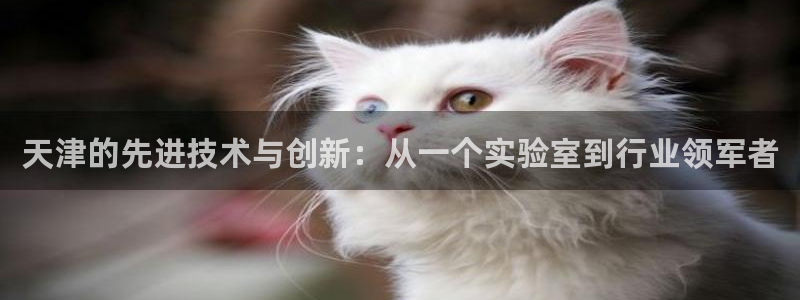 意昂体育3娱乐：天津的先进技术与创新：从一个实验室到行业领军