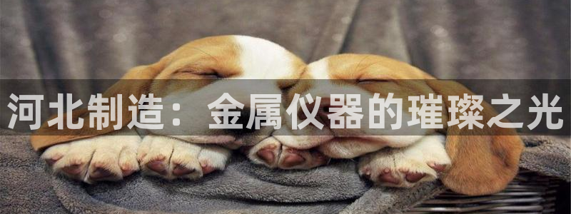 意昂3娱乐首页官网下载