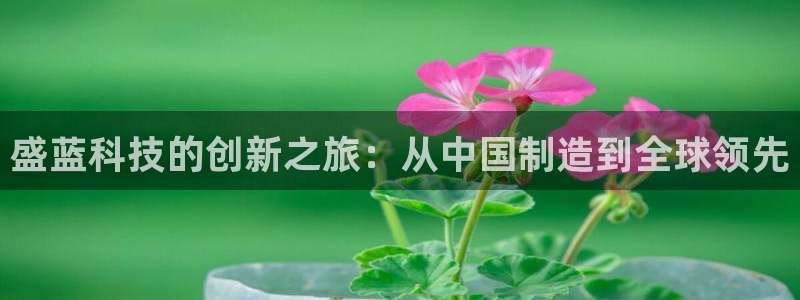 意昂体育3招商电话：盛蓝科技的创新之旅：从中国制造到全球领先