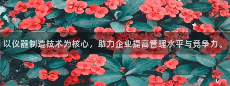 意昂体育3平台：以仪器制造技术为核心，助力企业提高管理水平与