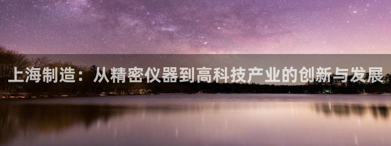 意昂体育3是干嘛的公司：上海制造：从精密仪器到高科技产业的创