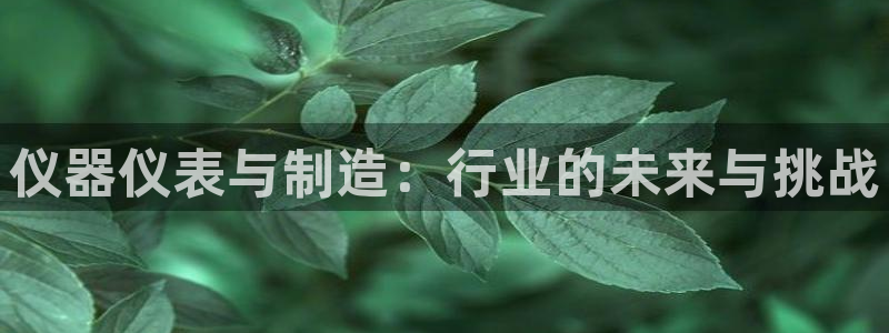 意昂体育3平台是正规平台吗知乎：仪器仪表与制造：行业的未来与