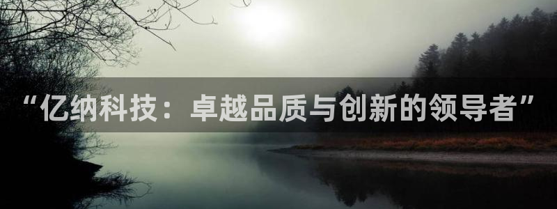 意昂3娱乐平台：“亿纳科技：卓越品质与创新的领导者”
