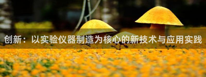 意昂体育3娱乐：创新：以实验仪器制造为核心的新技术与应用实践