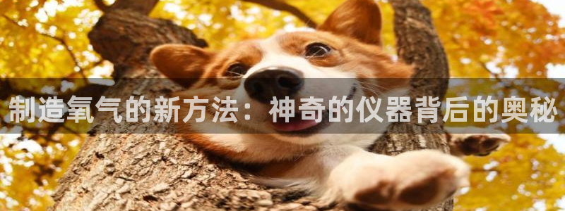 意昂体育3娱乐：制造氧气的新方法：神奇的仪器背后的奥秘
