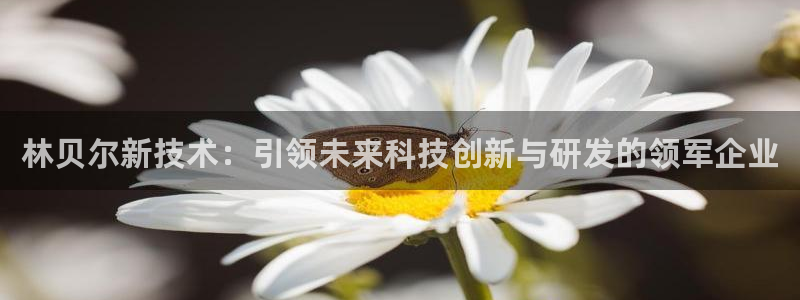 海南意昂体育3发展怎么样：林贝尔新技术：引领未来科技创新与研