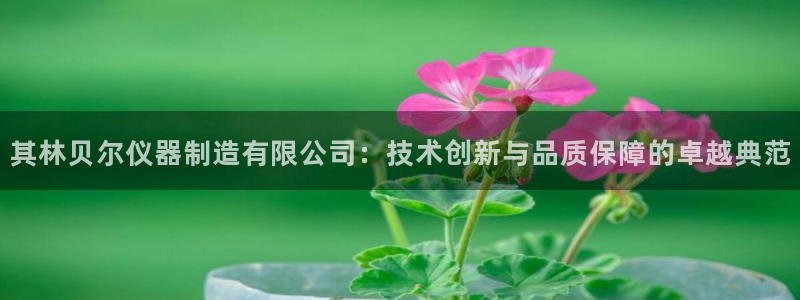 意昂体育3平台假的吗是真的吗吗：其林贝尔仪器制造有限公司：技