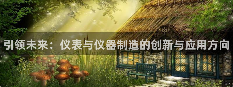 意昂3娱乐网站：引领未来：仪表与仪器制造的创新与应用方向