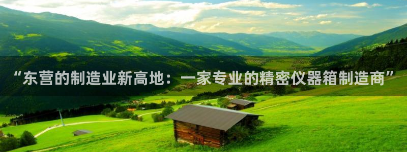 意昂3官方：“东营的制造业新高地：一家专业的精密仪器箱制造商