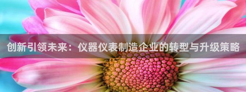 意昂体育3招商电话号码是多少：创新引领未来：仪器仪表制造企业
