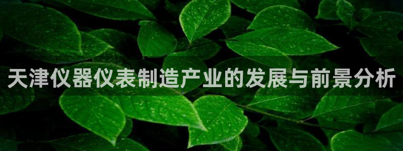 意昂3娱乐40996：天津仪器仪表制造产业的发展与前景分析