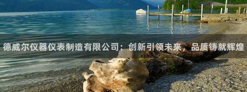 意昂3娱乐是那个系列的台子：德威尔仪器仪表制造有限公司：创新