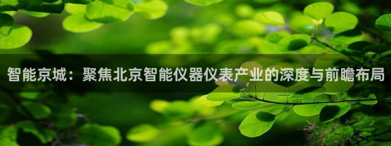 意昂3娱乐首页网站大全：智能京城：聚焦北京智能仪器仪表产业的