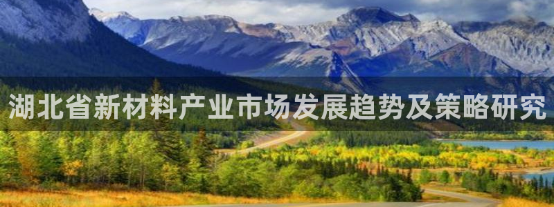 意昂体育3招商电话号码：湖北省新材料产业市场发展趋势及策略研