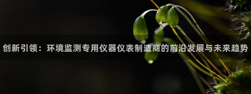 意昂3娱乐平台：创新引领：环境监测专用仪器仪表制造商的前沿发