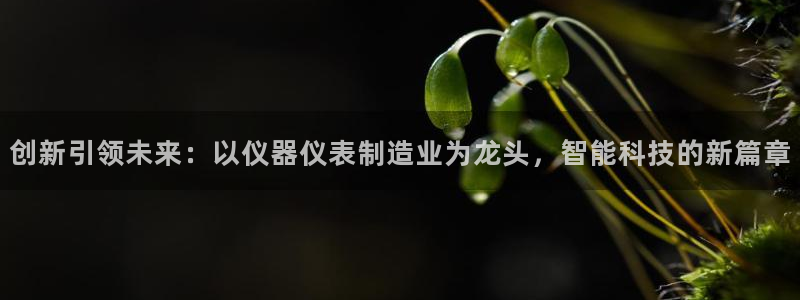 意昂3娱乐平台：创新引领未来：以仪器仪表制造业为龙头，智能科