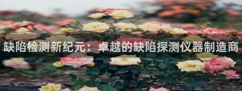 意昂体育3招商电话是多少号码：缺陷检测新纪元：卓越的缺陷探测