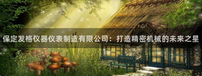 意昂体育3平台假的吗是真的吗：保定发格仪器仪表制造有限公司：
