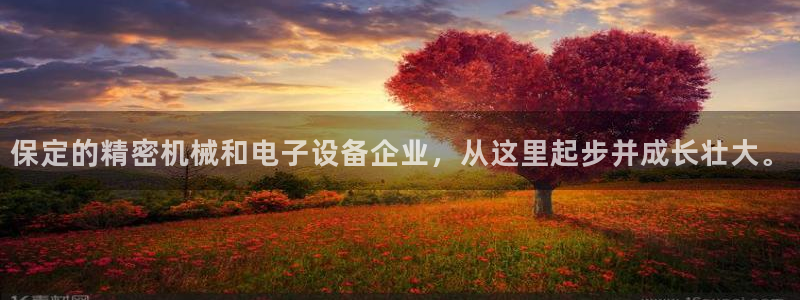 意昂体育3招商电话地址查询：保定的精密机械和电子设备企业，从
