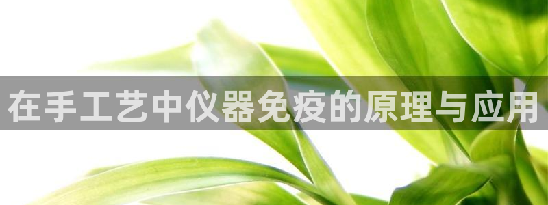 意昂体育3招商电话号码查询：在手工艺中仪器免疫的原理与应用