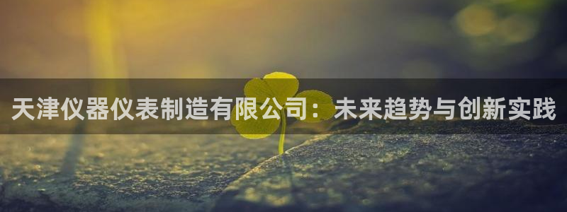 意昂3娱乐40996：天津仪器仪表制造有限公司：未来趋势与创