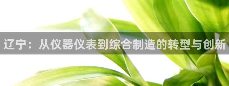 意昂3娱乐代理怎么样：辽宁：从仪器仪表到综合制造的转型与创新