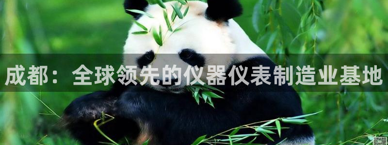 意昂体育3招商电话：成都：全球领先的仪器仪表制造业基地