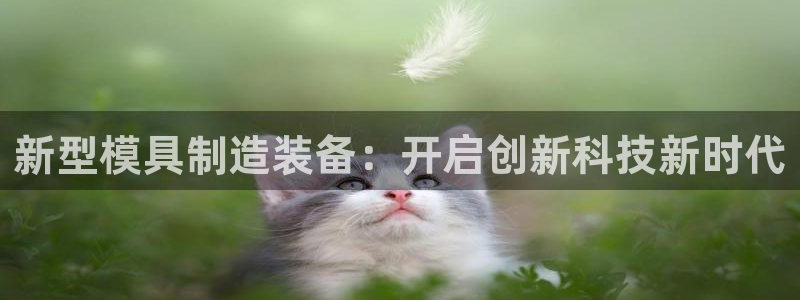 意昂体育3官方客服电话：新型模具制造装备：开启创新科技新时代