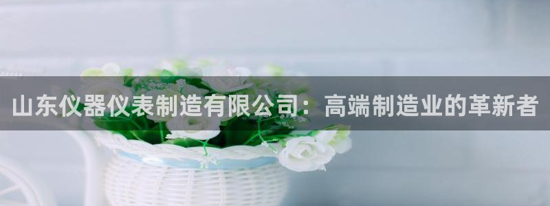 意昂3娱乐网站：山东仪器仪表制造有限公司：高端制造业的革新者