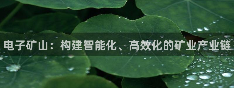 意昂体育3平台注册要钱吗安全吗：电子矿山：构建智能化、高效化