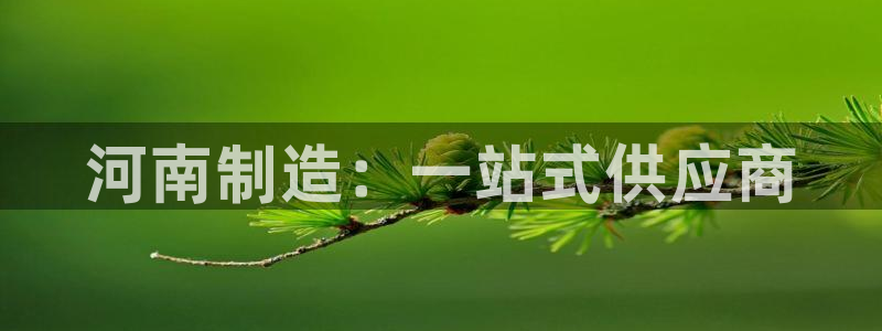 意昂体育3是干嘛的公司：河南制造：一站式供应商