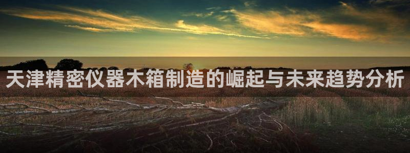 意昂体育3招商电话号码查询：天津精密仪器木箱制造的崛起与未来